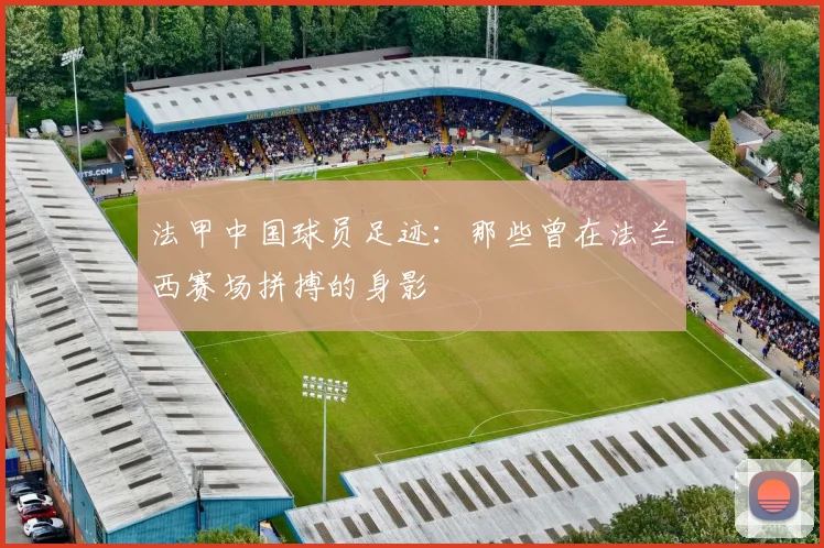 法甲中国球员足迹：那些曾在法兰西赛场拼搏的身影