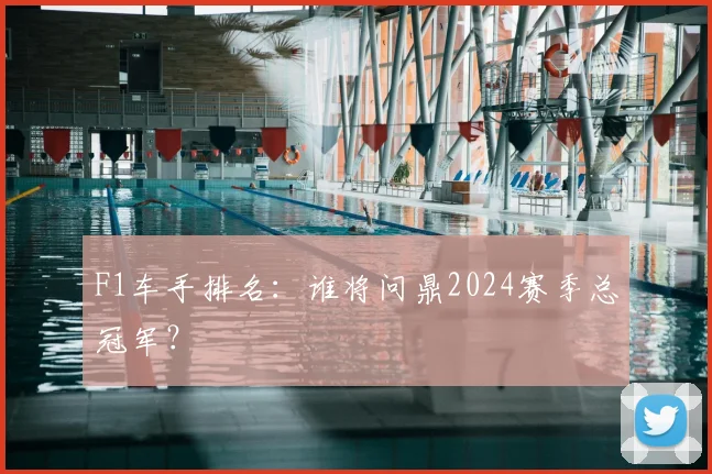 F1车手排名：谁将问鼎2024赛季总冠军？